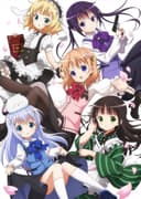 Is the Order a Rabbit?